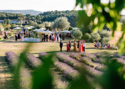 cocktail de mariage au milieu des lavandes dans le Luberon